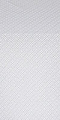Omsk silk (rayon brocade) (white/silver)