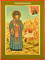 Icon: Holy Hierarch St. Basil the Wonderworker of Ostrozh - O