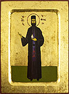 Icon: Holy Hosiomartyr Ephraem the New - 2599 (5.5''x7.1'' (14x18 cm))