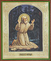 Religious icon: Holy Venerable Seraphim the Wonderworker of Sarov - 9