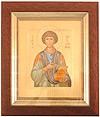 Icon: Holy Great Martyr and Healer Pantheleimon - 8
