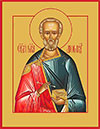 Icon: Holy Martyr Diomid - O