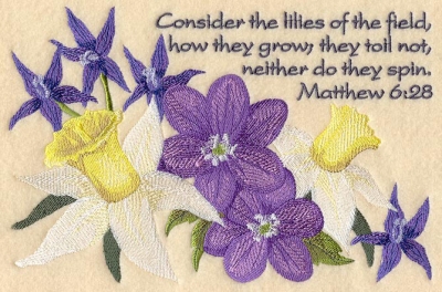 Lilies of the field (Mt. 6:28)