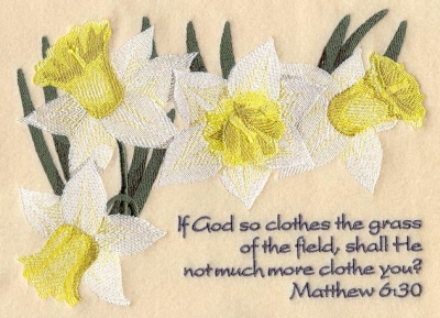Lilies of the field (Mt. 6:30)