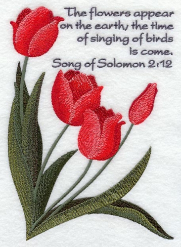 The flowers appear on the earth