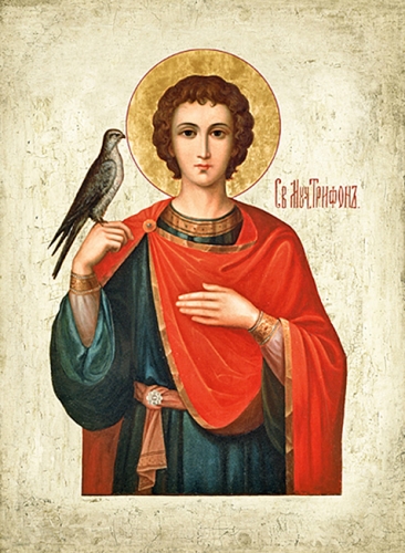 Icon: Holy Martyr Tryphon - MT01