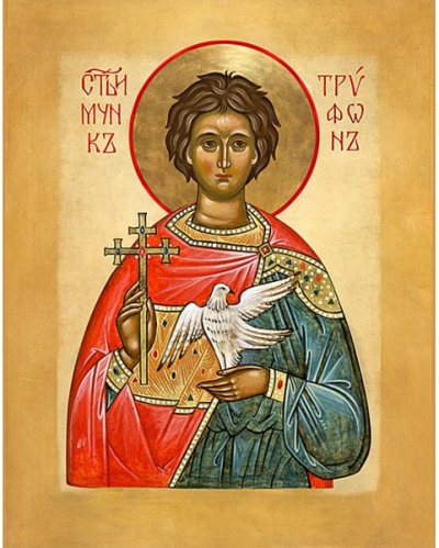 Icon: Holy Martyr Tryphon - MT661