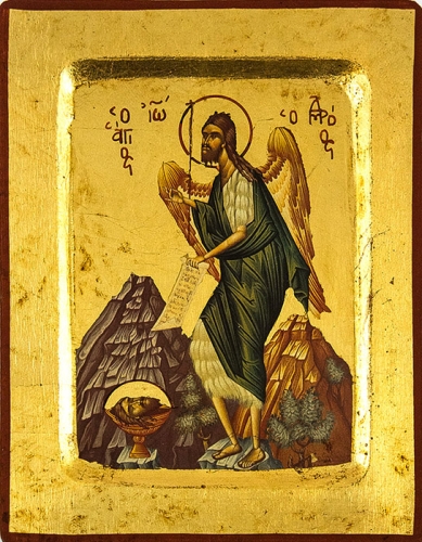 Icon: St. John the Baptist the Angle of Desert - 2843 (5.5''x7.1'' (14x18 cm))